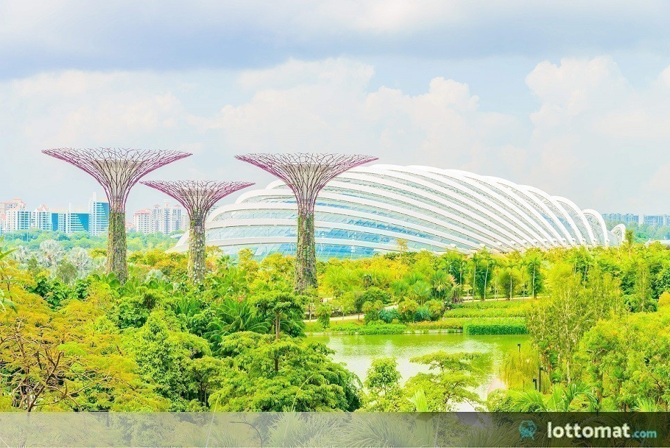Singapore Lottery Online – All You Need To Know